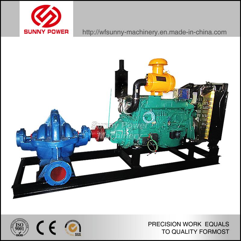 High Pressure Diesel Water Pump for Banana Plant Applied in Ecuador